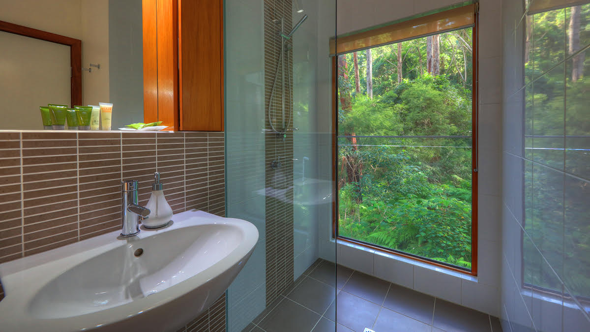 Montville accommodation ensuite with rainforest shower view