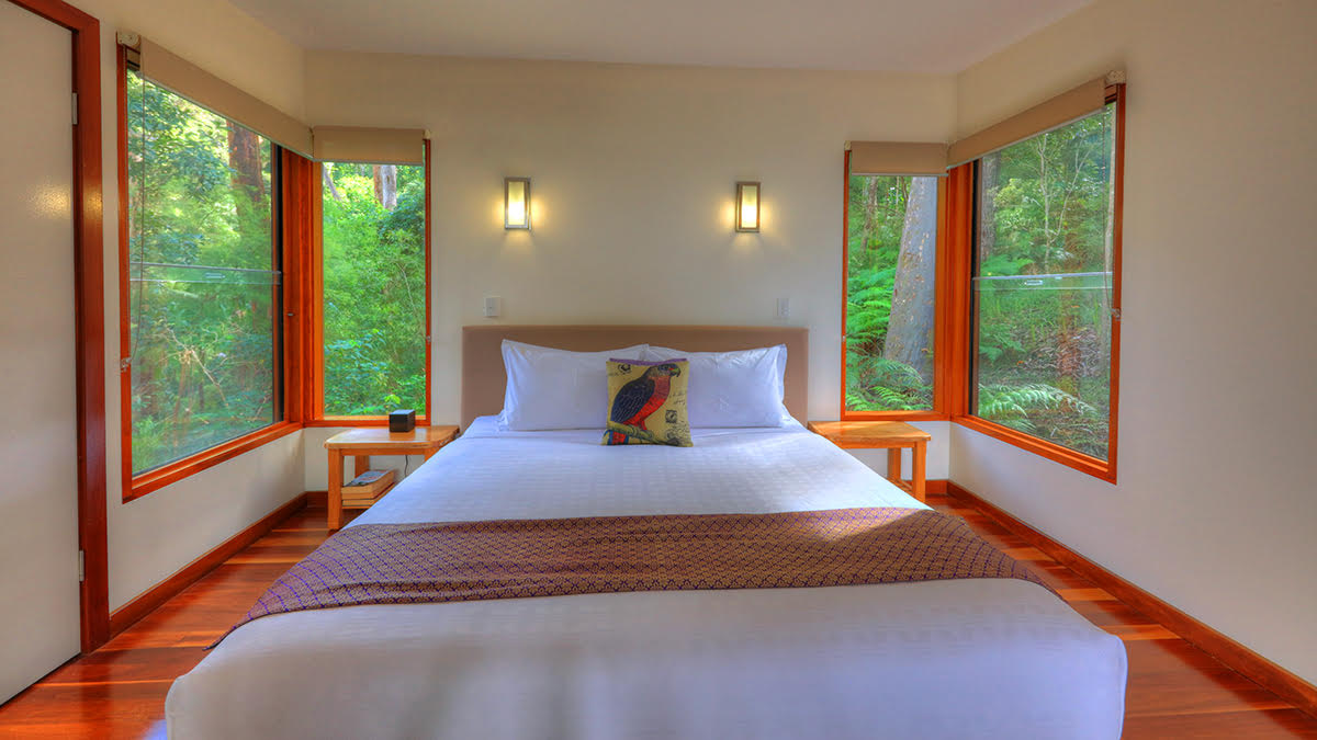 Montville accommodation rainforest bedroom with large windows