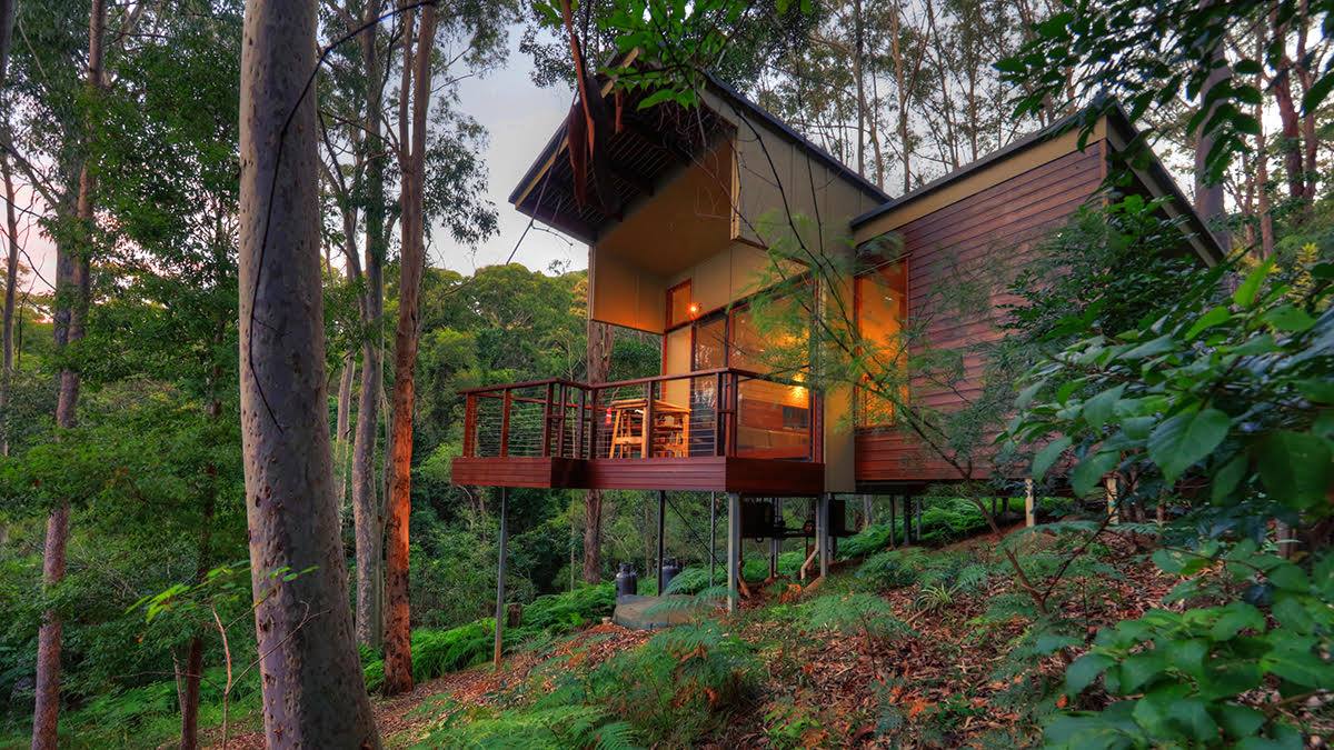 Montville accommodation rainforest cottage exterior at dusk